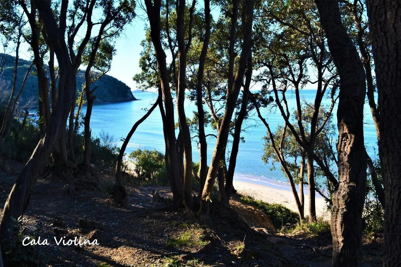 Bed & Breakfast Podere 269 Castiglione della Pescaia Italia