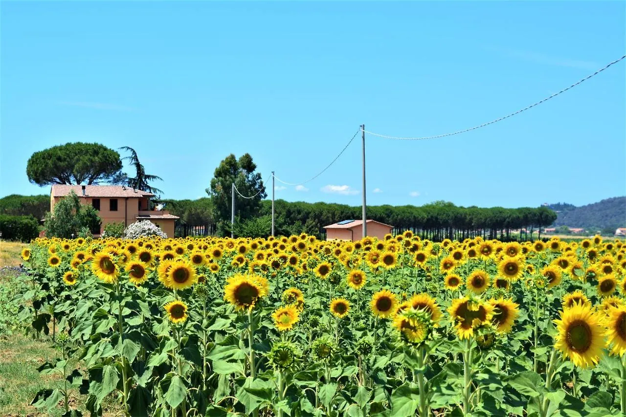 Podere 269 Castiglione della Pescaia