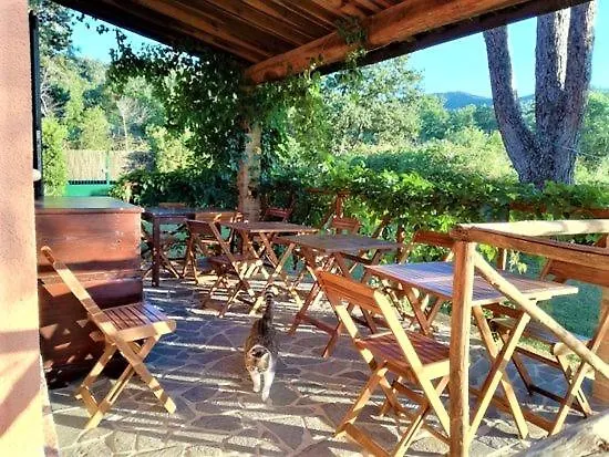 Bed & Breakfast Podere 269 Castiglione della Pescaia Italy